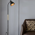 Nordic Minimalist Iron Cone Long Pole 1-Light Standing Floor Lamp Lumendat