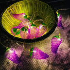 Fruit Grape String Lights LED Battery USB Decorative String Light Lumendat