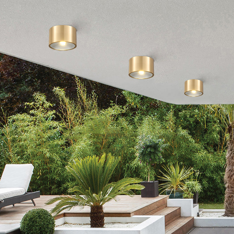 Modern Minimalist Cylinder Brass LED Flush Mount Ceiling Light for Living Room