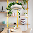 Modern Art Deco Sky Garden Round Shade 1-light Pendant Light for Dining Room