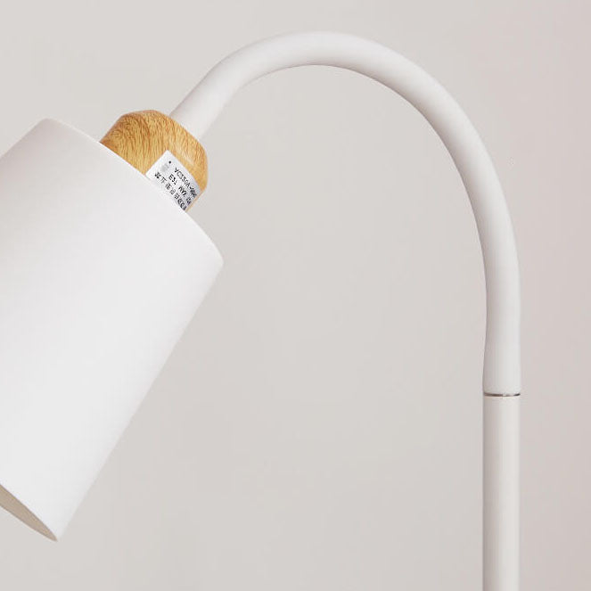 Modern Minimalist Iron 1-Light Standing Floor Lamp Lumendat