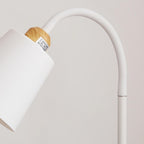 Modern Minimalist Iron 1-Light Standing Floor Lamp Lumendat