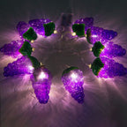 Fruit Grape String Lights LED Battery USB Decorative String Light Lumendat