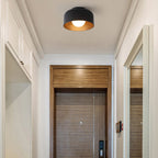 Minimalist Dome Wood Grain Iron 1-Light Semi- Flush Mount Ceiling Lumendat