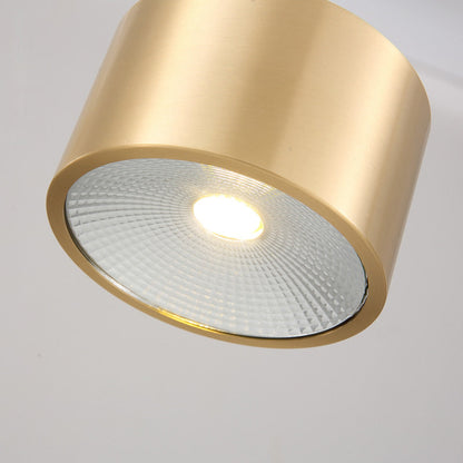 Modern Minimalist Cylinder Brass LED Flush Mount Ceiling Light for Living Room