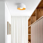 Minimalist Dome Wood Grain Iron 1-Light Semi- Flush Mount Ceiling Lumendat