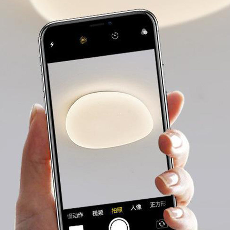 Modern Minimalist Pebble Shape Acrylic Hardware LED Flush Mount Ceiling Light For Bedroom Lumendat