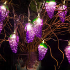 Fruit Grape String Lights LED Battery USB Decorative String Light Lumendat