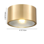 Modern Minimalist Cylinder Brass LED Flush Mount Ceiling Light for Living Room