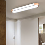 Contemporary Scandinavian Long Oval Iron Log Acrylic LED Flush Mount Ceiling Light For Bedroom Lumendat