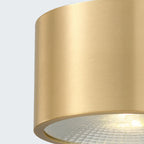Modern Minimalist Cylinder Brass LED Flush Mount Ceiling Light for Living Room