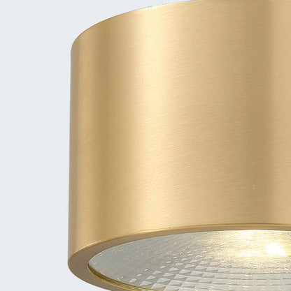 Modern Minimalist Cylinder Brass LED Flush Mount Ceiling Light for Living Room