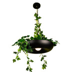 Modern Art Deco Sky Garden Round Shade 1-light Pendant Light for Dining Room