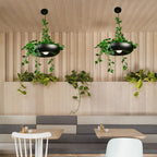 Modern Art Deco Sky Garden Round Shade 1-light Pendant Light for Dining Room