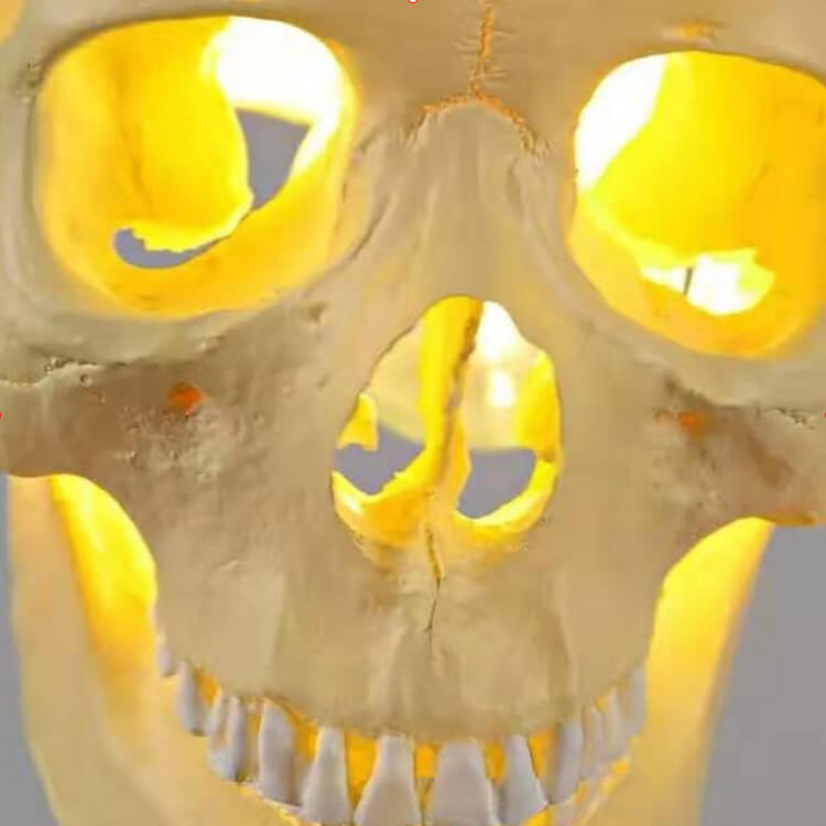 Contemporary Creative Skull Resin Iron 1-Light Halloween Pendant Light For Living Room