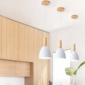 Nordic Minimalist Macaron Solid Color 1/3-light Chandelier Lumendat