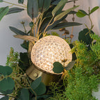 Modern Light Luxury Round Ball Iron Acrylic USB LED Ambient Table Lamp Lumendat