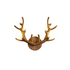 Nordic Creative Resin Antler Tree Branch Glass Ball 6-Light Wall Sconce Lamp Lumendat