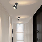 Modern Simplicity Cylinder Acrylic Aluminum Iron LED Spotlight Semi-Flush Mount Ceiling Light For Living Room