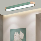 Contemporary Scandinavian Long Oval Iron Log Acrylic LED Flush Mount Ceiling Light For Bedroom Lumendat