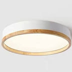 Simple Macaron Round Acrylic LED Flush Mount Ceiling Light BulbSquare