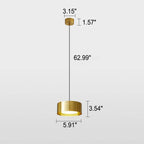 Modern Minimalist Round Head Iron LED Pendant Light