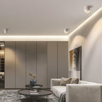Modern Minimalist Aluminum Adjustable Angle LED Spotlight Semi-Flush Mount Ceiling Lumendat