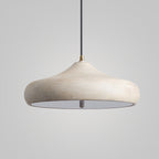 Contemporary Retro Iron Round Dome 2-light Pendant Light for Dining Room