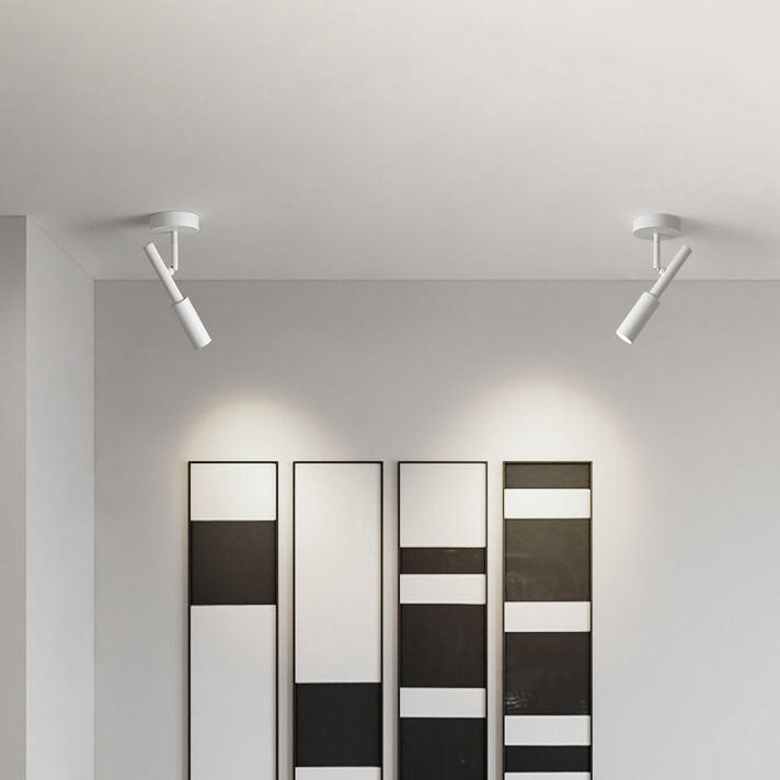 Minimalist Spotlight Rotatable LED Semi-Flush Mount Ceiling Light Lumendat