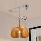 Japanese Minimalist Wooden Pumpkin Swing Arm 1-light Pendant Light BulbSquare