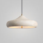 Contemporary Retro Iron Round Dome 2-light Pendant Light for Dining Room