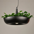 Modern Art Deco Sky Garden Round Shade 1-light Pendant Light for Dining Room