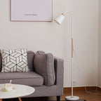 Modern Minimalist Iron 1-Light Standing Floor Lamp Lumendat