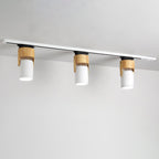 Modern Minimalist Hardware Long Spotlight Track Light 1/3 Light LED Flush Mount Ceiling Light For Living Room & Bedroom Lumendat