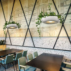 Modern Creative Refreshing Circle Plant 1-light Pendant Light Lumendat
