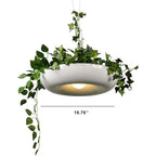 Modern Creative Refreshing Circle Plant 1-light Pendant Light Lumendat