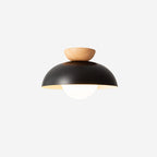 Modern Minimalist Round Iron Glass 1-Light Semi-Flush Mount Ceiling Light For Living Room Lumendat