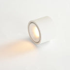 Modern Minimalist Round Spotlight Adjustable LED Flush Mount Ceiling Light BulbSquare