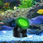 Solar Waterproof RGB Lawn Decoration LED Spotlight Landscape Light Lumendat