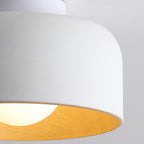 Minimalist Dome Wood Grain Iron 1-Light Semi- Flush Mount Ceiling Lumendat