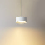 Modern Minimalist Round Head Iron LED Pendant Light