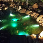 Solar Waterproof RGB Lawn Decoration LED Spotlight Landscape Light Lumendat
