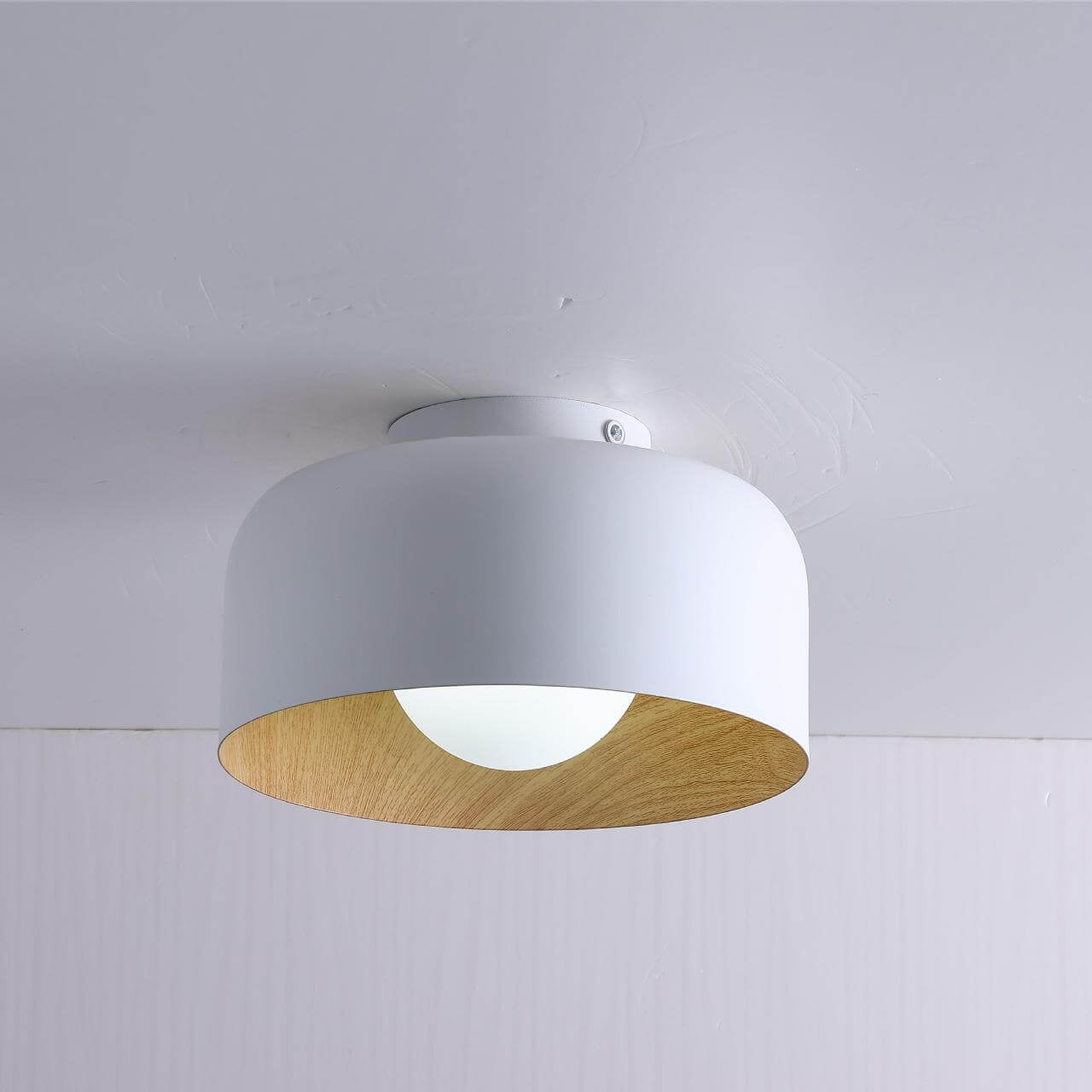 Minimalist Dome Wood Grain Iron 1-Light Semi- Flush Mount Ceiling Lumendat