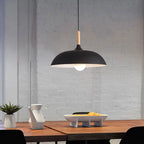 Modern Metal Wooden Top 1-light Dome Pendant Light Lumendat