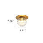 Modern Globe 1-light Semi-flush Mount Lighting BulbSquare