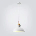 Contemporary Nordic Oak Wood Iron Bell Cone Dome 1-light Pendant Light for Living Room Lumendat