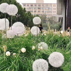Solar Dandelion Aluminum Wire Globe Light LED Outdoor Waterproof Luminous Garden Insert Ground Landscape Light Lumendat