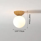 Modern Minimalist Glass Iron Orb 1-light Semi-flush Mount Light/pendant Light for Living Room Lumendat