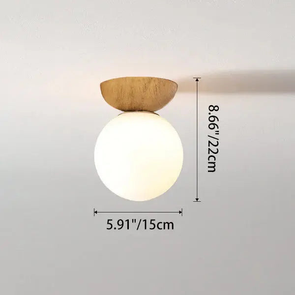 Modern Minimalist Glass Iron Orb 1-light Semi-flush Mount Light/pendant Light for Living Room Lumendat