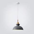 Contemporary Nordic Oak Wood Iron Bell Cone Dome 1-light Pendant Light for Living Room Lumendat